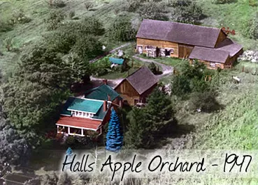 The farmhouse and barns in 1947, on a green hillside, captioned “Halls Apple Orchard, 1947”