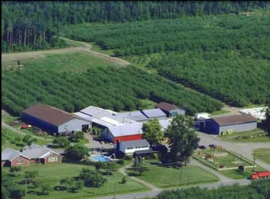 The farm from the air: barns and the market surrounded by rows of apple trees
